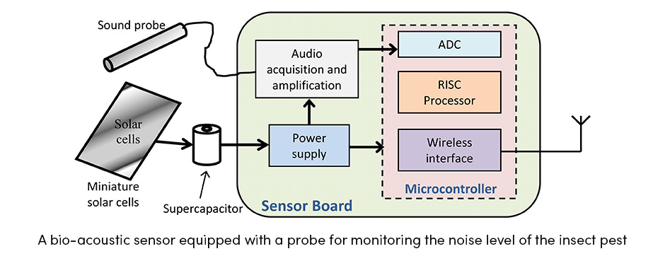 Bio-Acoustic Sensor