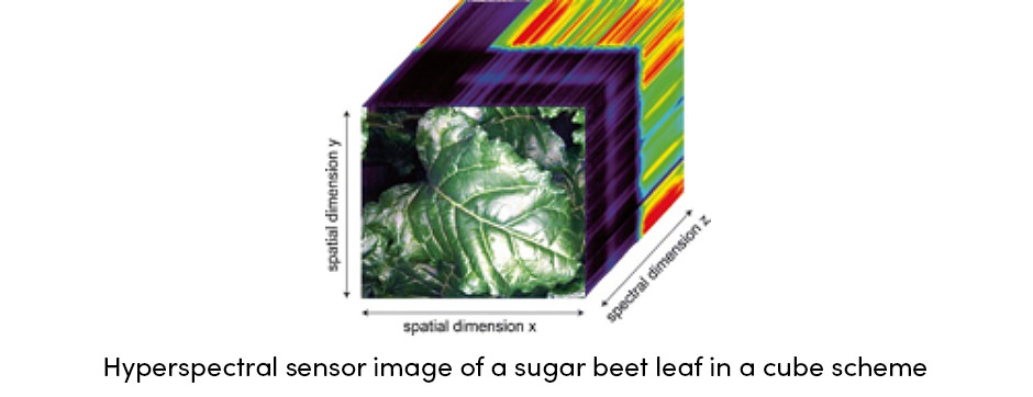 Hyperspectral Sensor