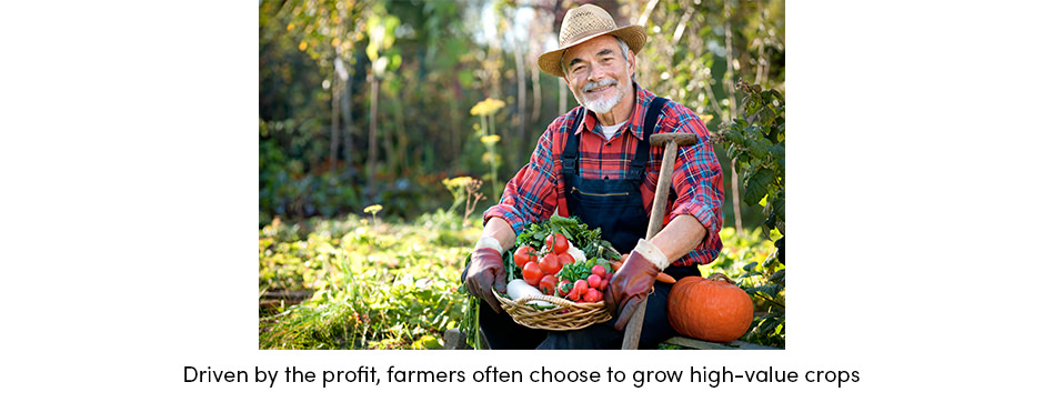 High-Value Crop