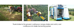 Trunk Share Harvesting System