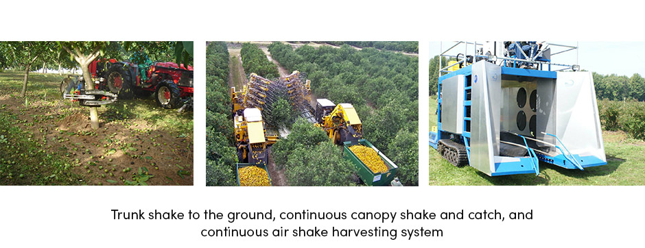 Trunk Share Harvesting System
