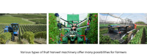 Various Types Fruit Harvest