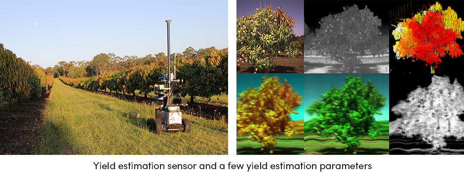 Yield Estimation Sensor