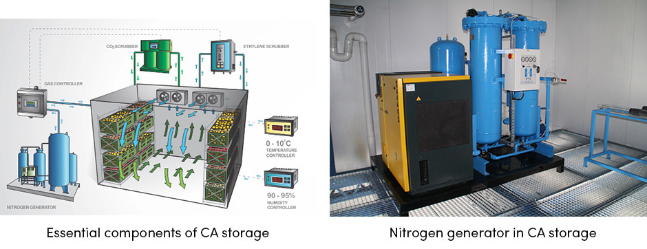 CA Storage