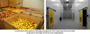 Controlled Atmosphere Storage