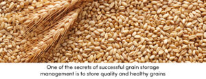 Grain Storage Management