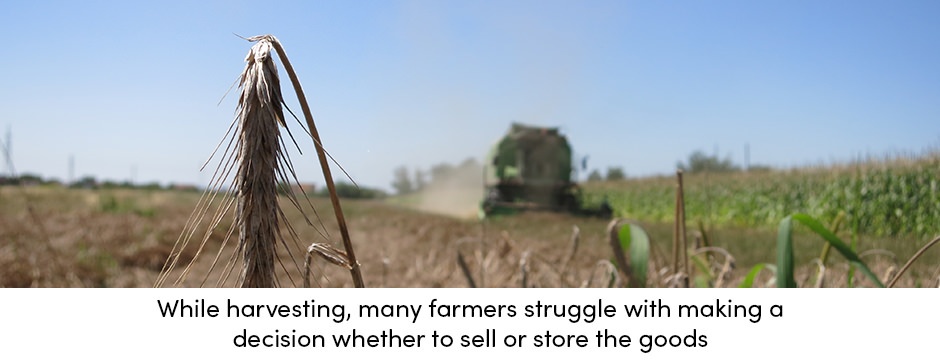Harvesting Sell or Store