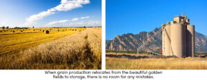Grain Fields