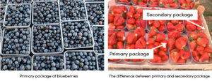 Blueberries Package