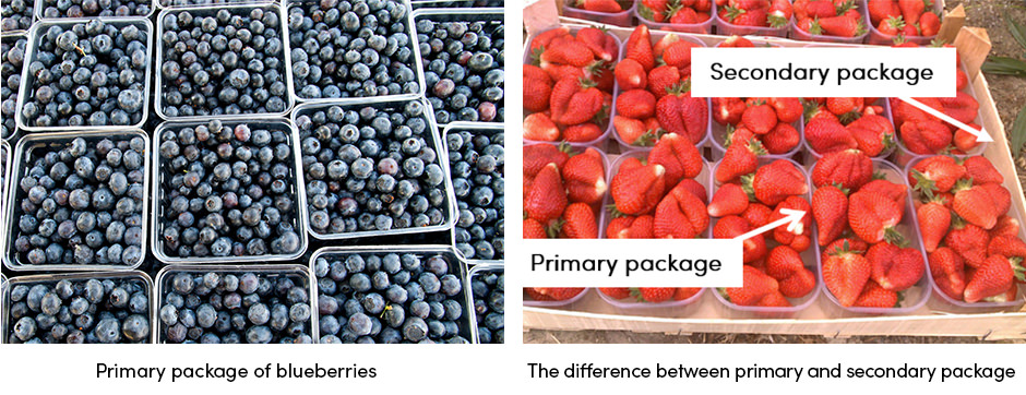 Blueberries Package