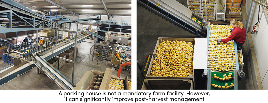 Packing House Post-Harvest Management