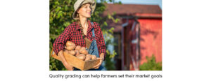 Quality Gardening Food Market