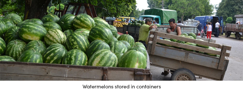 Watermelons Stored