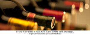 Wine Bottle