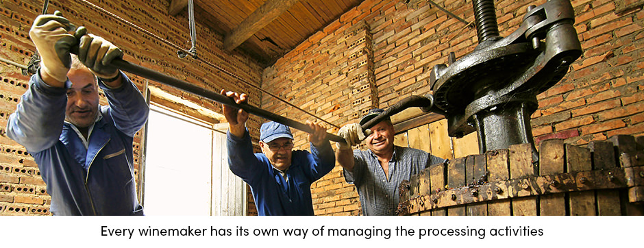 Winemaker Processing