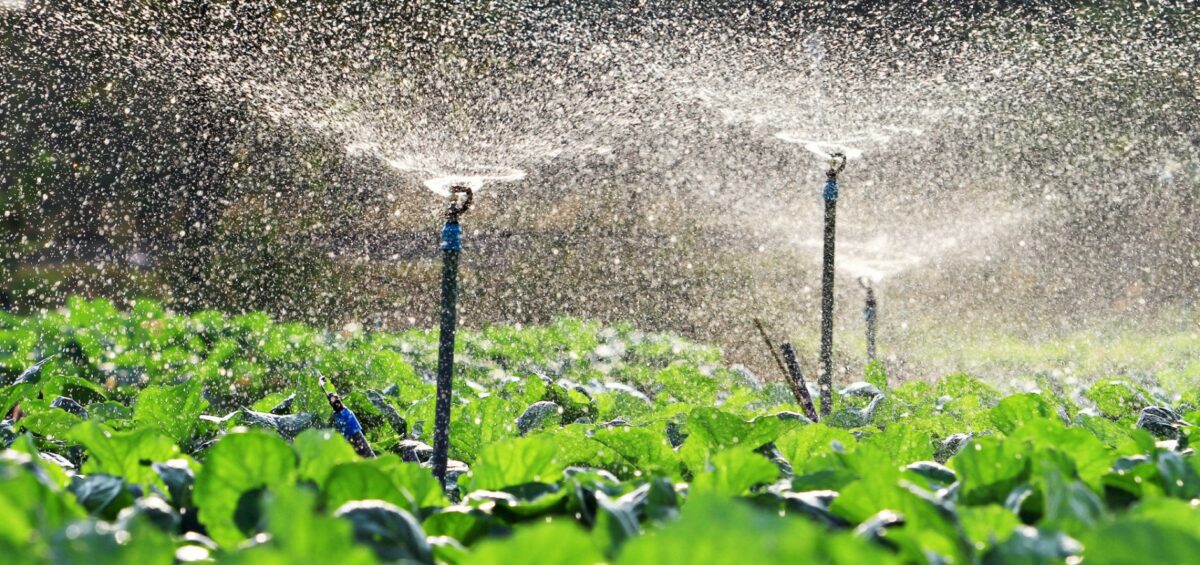 Sprinkler system spraying field