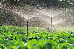 Sprinkler system spraying field
