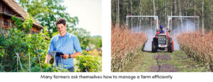 Farm Efficiency