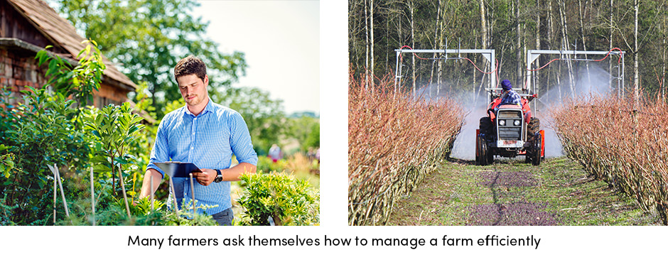 Farm Efficiency