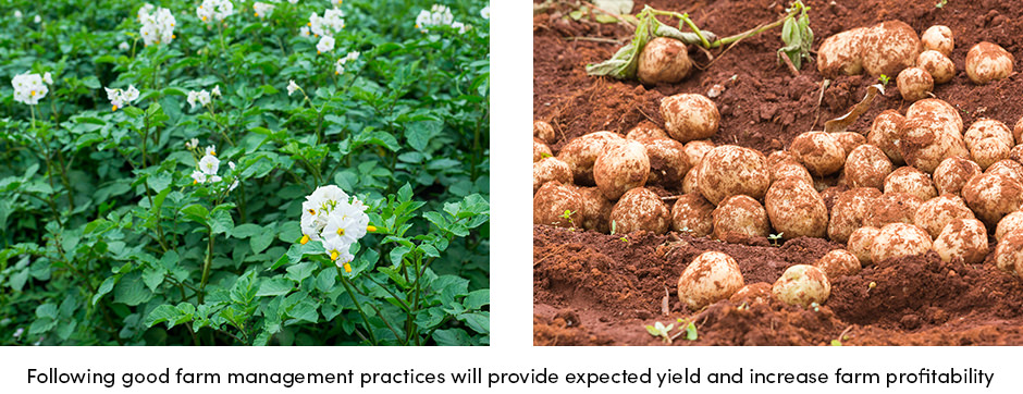 Following Good Farm Practices
