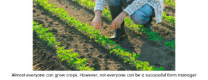 Crop Grower
