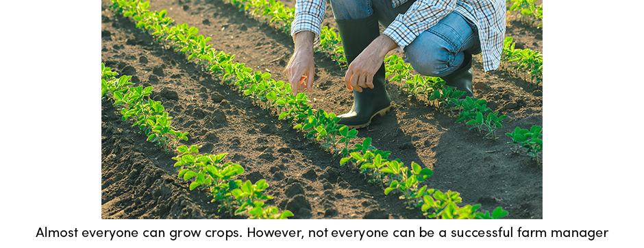 Crop Grower
