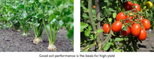 6 Soil Performance Indicators That Will Boost Yield_3