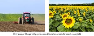 6 Soil Performance Indicators That Will Boost Yield_4