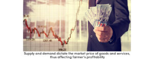 Supply Demand Market