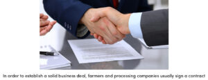 Establishing a Solid Business Deal