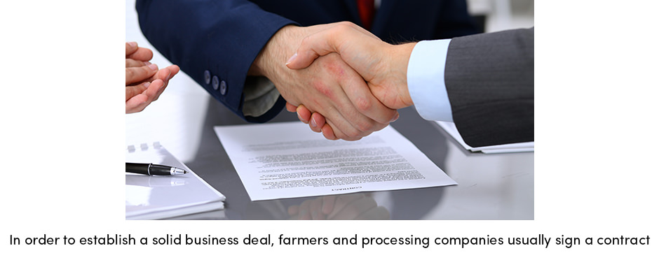 Establishing a Solid Business Deal