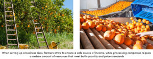 Farmers Ensure Safe Source of Income