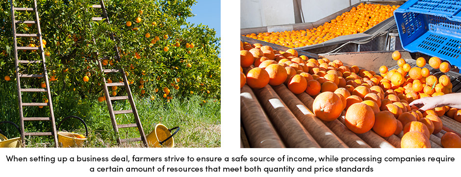 Farmers Ensure Safe Source of Income