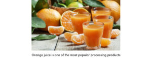 Orange Juice - popular processing product