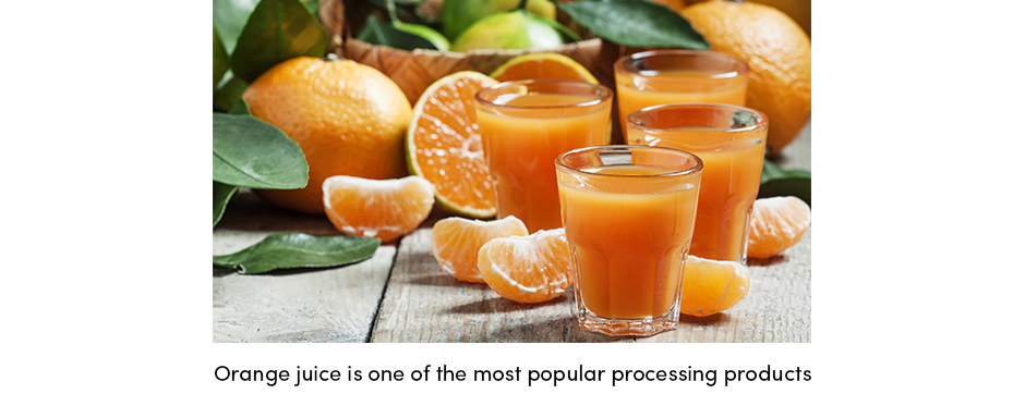 Orange Juice - popular processing product