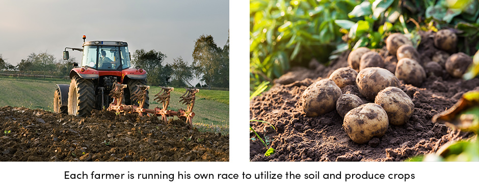 Soil Utilization