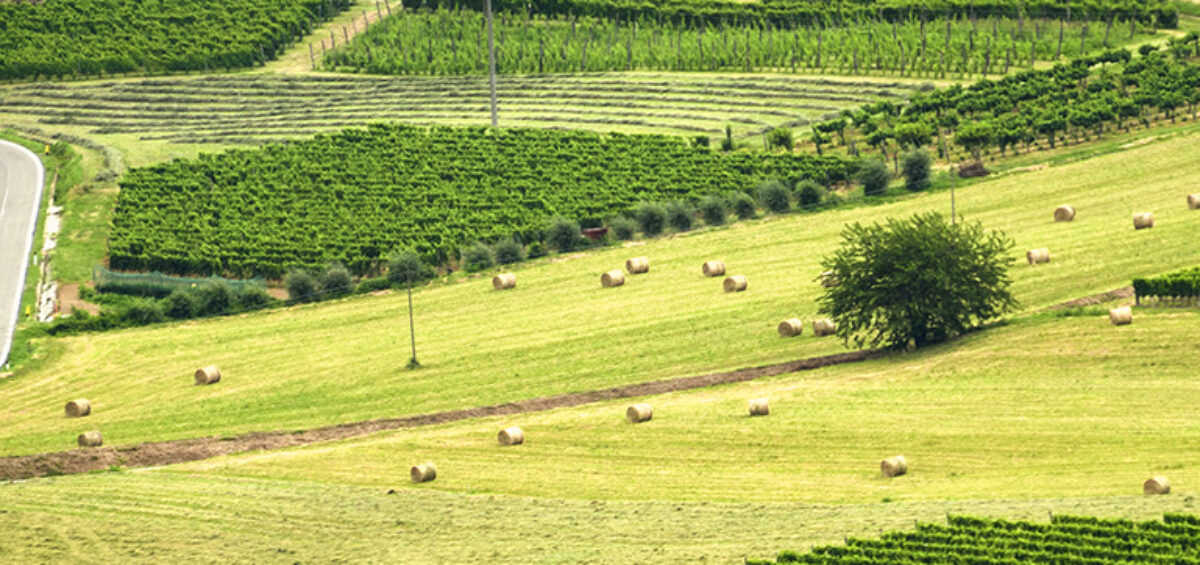 4 Field Facts Every Farmer Should Know-naslovna
