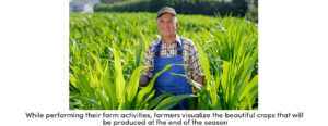Farmer Visualize End of Season