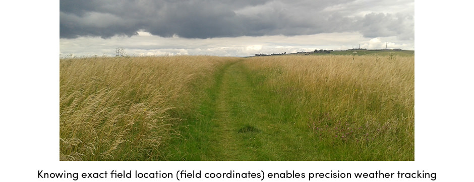 Field Coordinates for Precision Weather Tracking