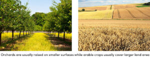 Orchards on smaller surfaces, arable on larger land area