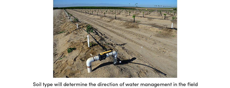 Soil Type for Water Management