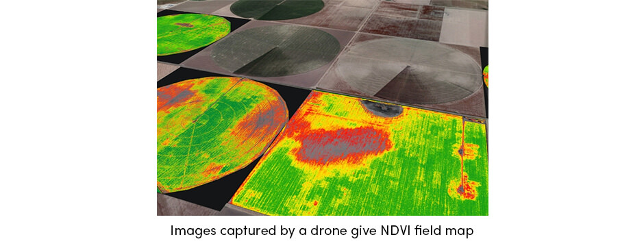 Drone NDVI Filed Map