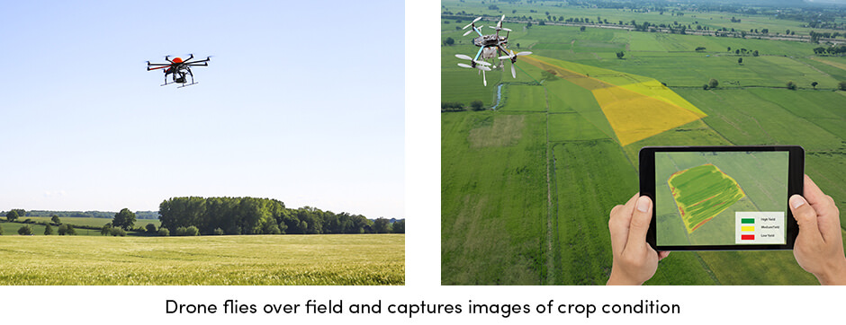 Drone over Field