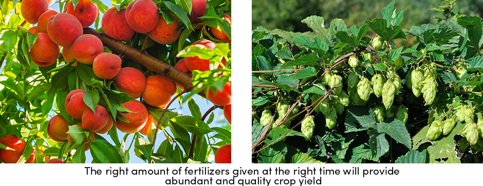 Fertilizers