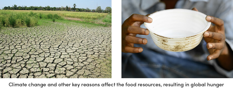Food Resources