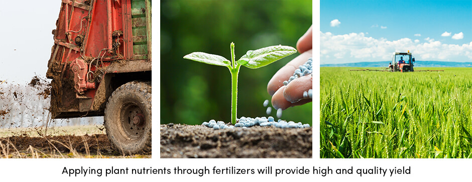 Plant Nutrients
