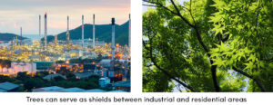 Trees can Serve in Industrial Areas