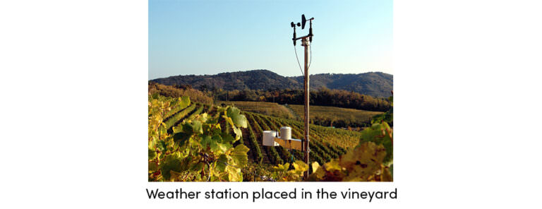 automatic weather station agrivi