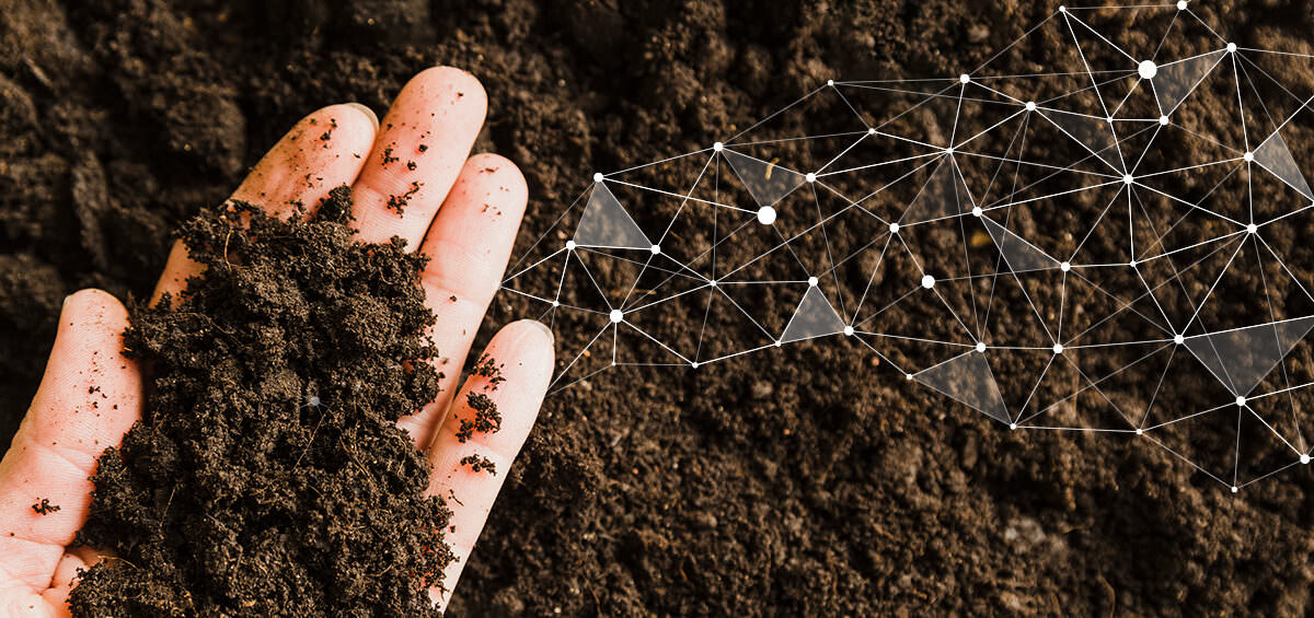 Blog Better Soil Performance