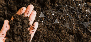 Blog Better Soil Performance